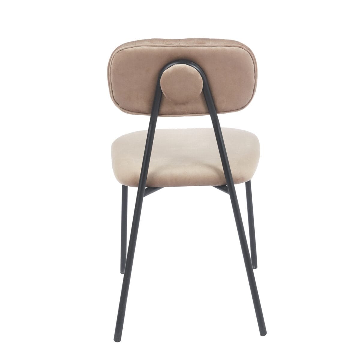 ⁦כיסא לפינת אוכל דגם 6125 מבית Step Up בצבע קרם⁩ – תמונה ⁦2⁩